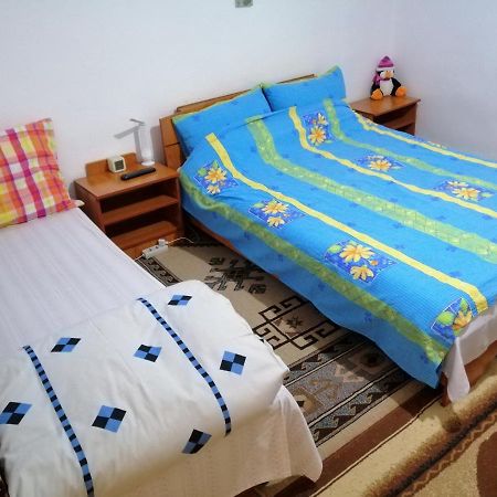 Turnu Măgurele Rustic House 아파트 외부 사진