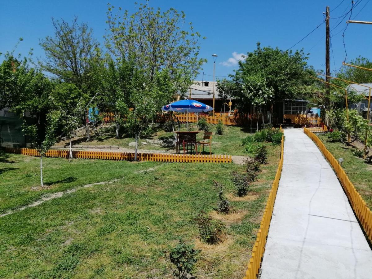 Turnu Măgurele Rustic House 아파트 외부 사진