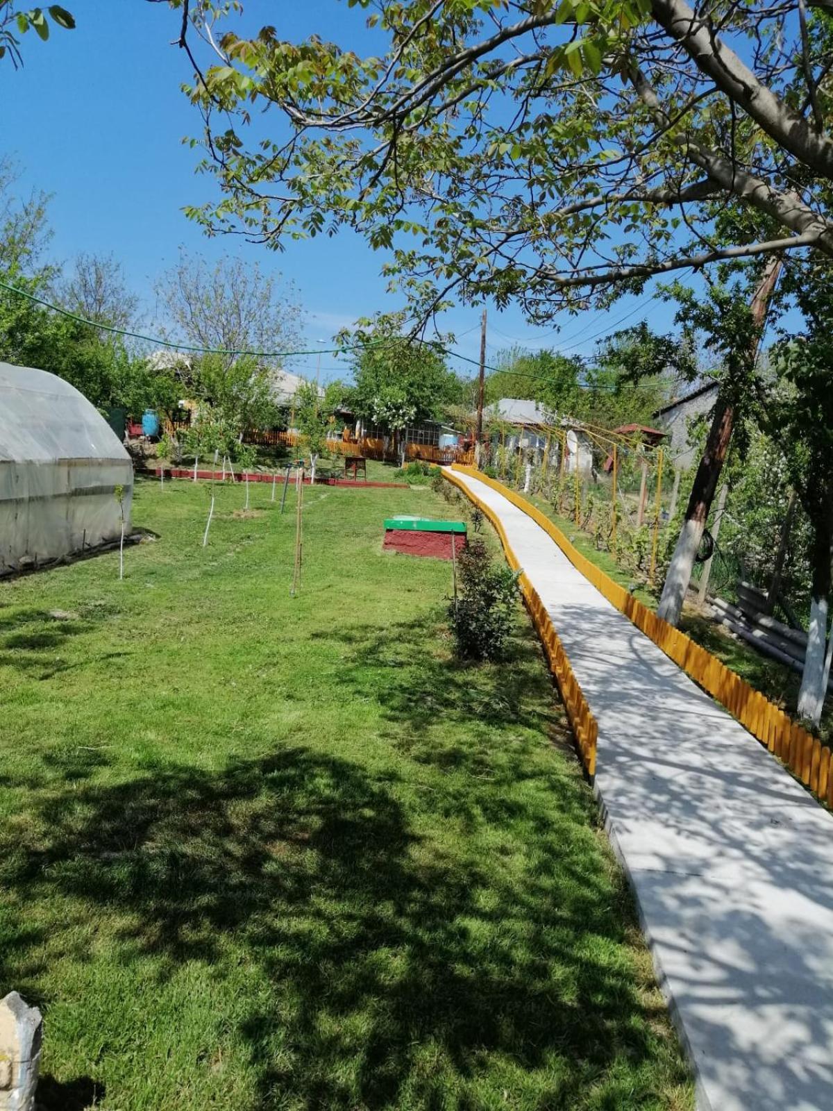 Turnu Măgurele Rustic House 아파트 외부 사진