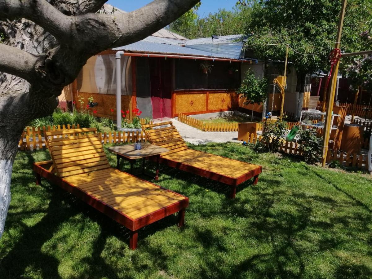Turnu Măgurele Rustic House 아파트 외부 사진