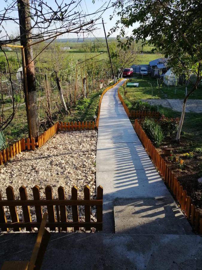 Turnu Măgurele Rustic House 아파트 외부 사진
