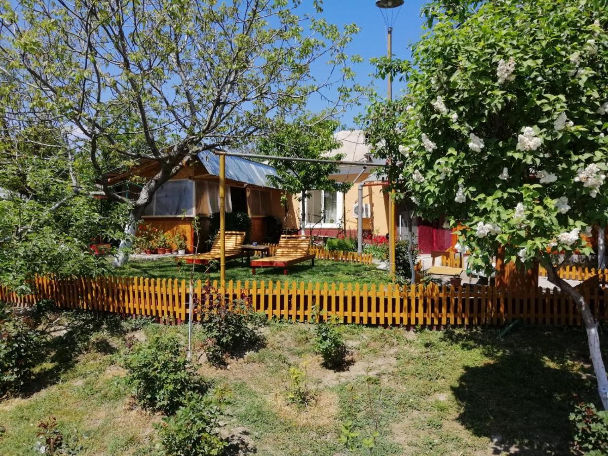 Turnu Măgurele Rustic House 아파트 외부 사진