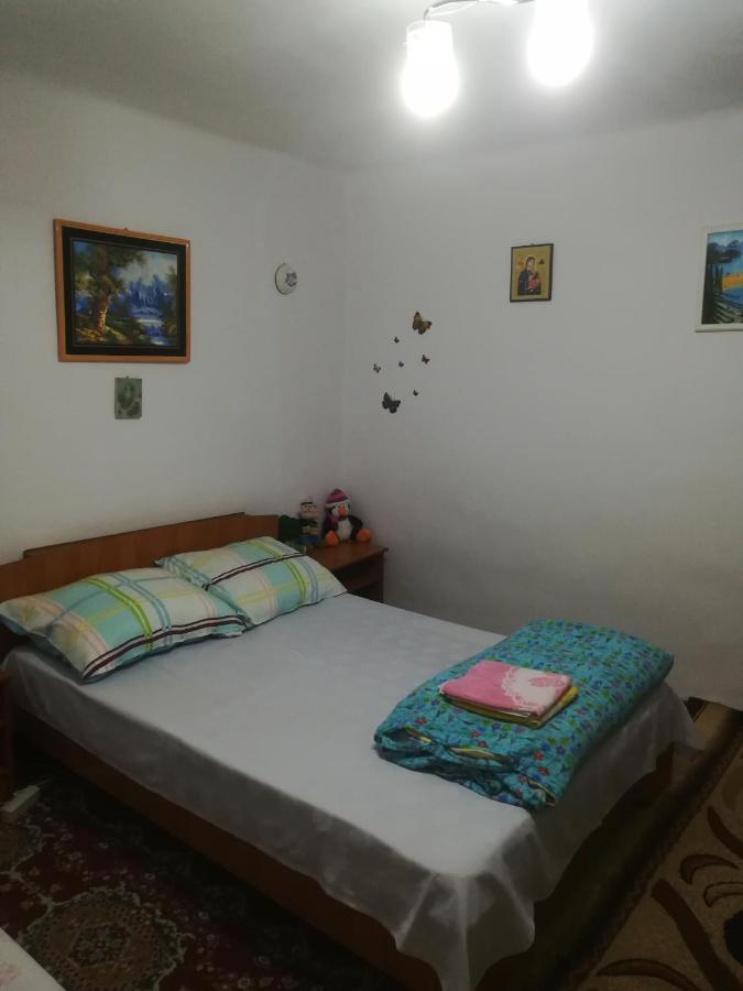 Turnu Măgurele Rustic House 아파트 외부 사진