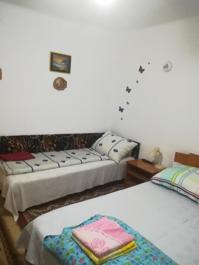 Turnu Măgurele Rustic House 아파트 외부 사진