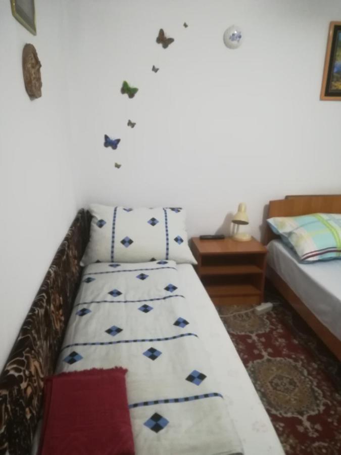 Turnu Măgurele Rustic House 아파트 외부 사진
