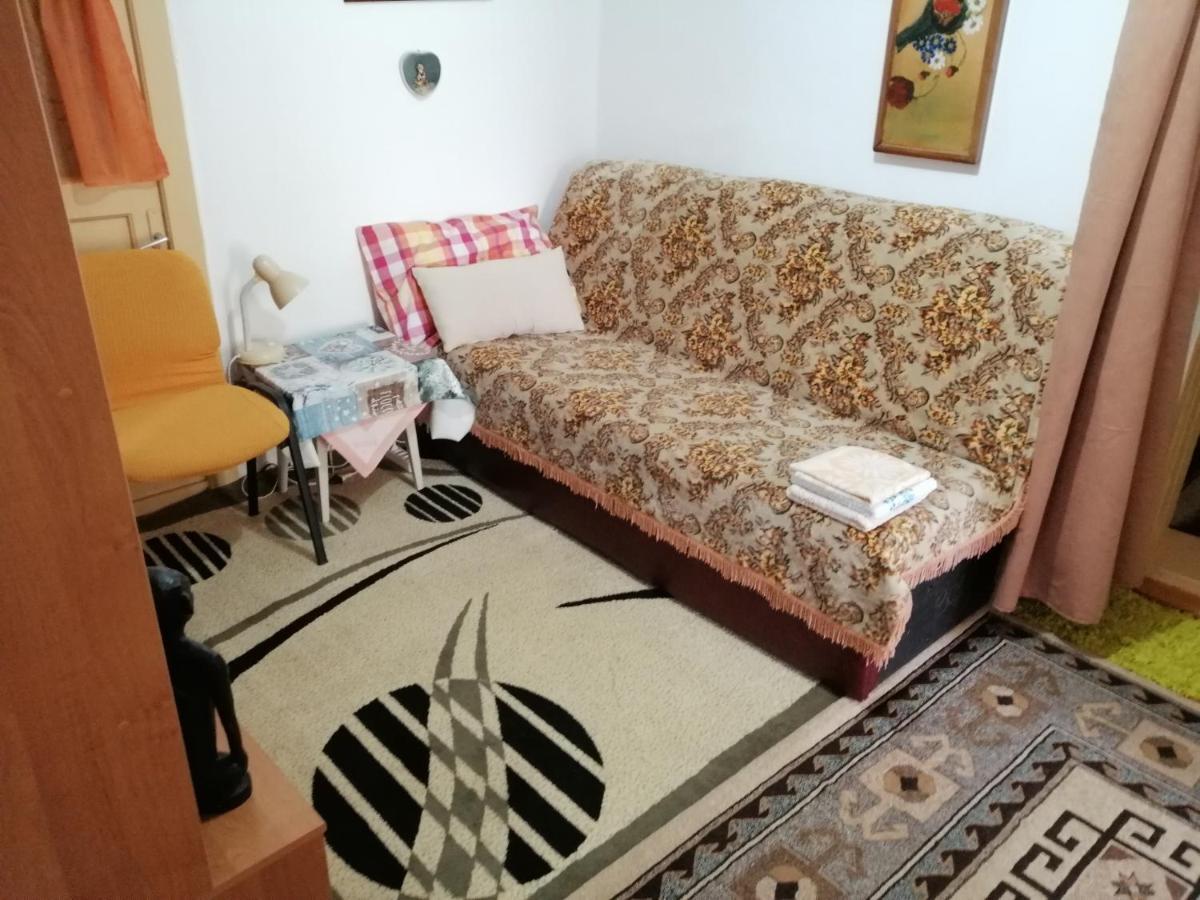 Turnu Măgurele Rustic House 아파트 외부 사진