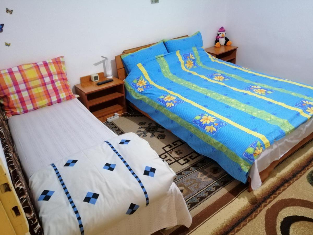 Turnu Măgurele Rustic House 아파트 외부 사진