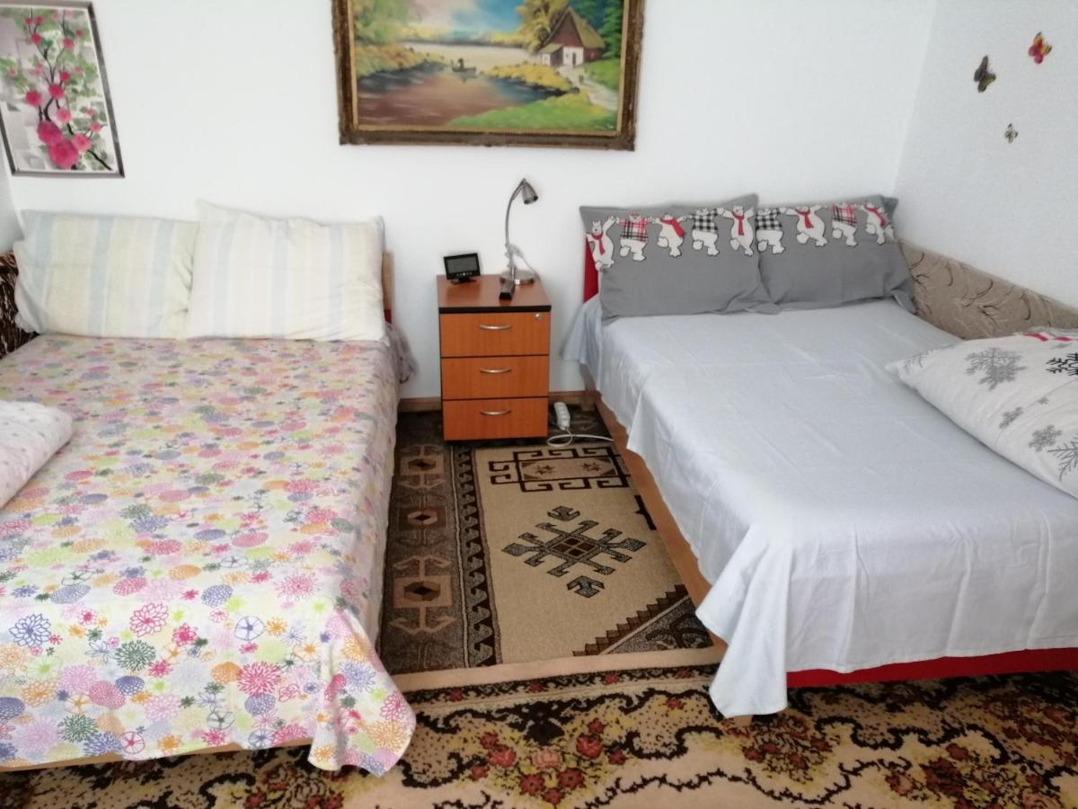 Turnu Măgurele Rustic House 아파트 외부 사진