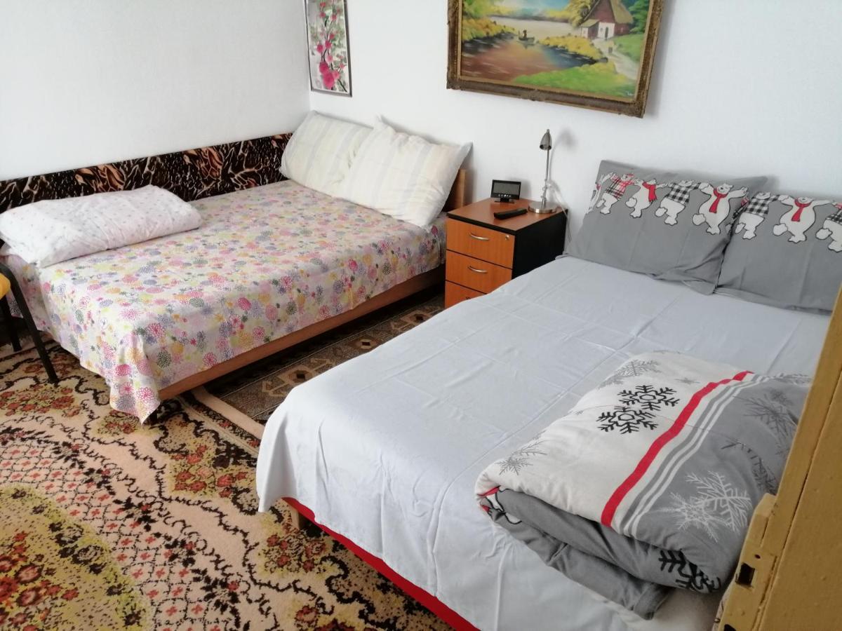 Turnu Măgurele Rustic House 아파트 외부 사진