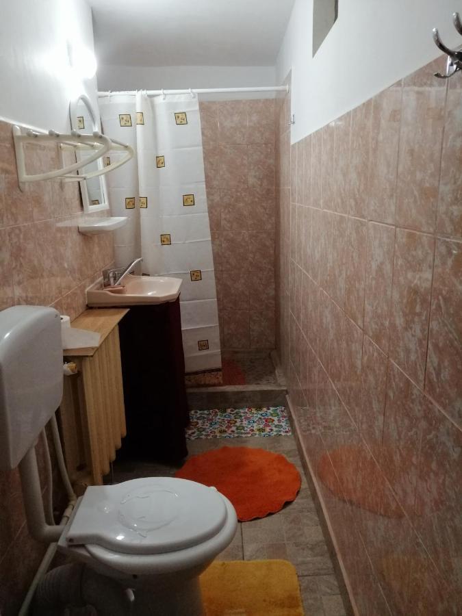 Turnu Măgurele Rustic House 아파트 외부 사진