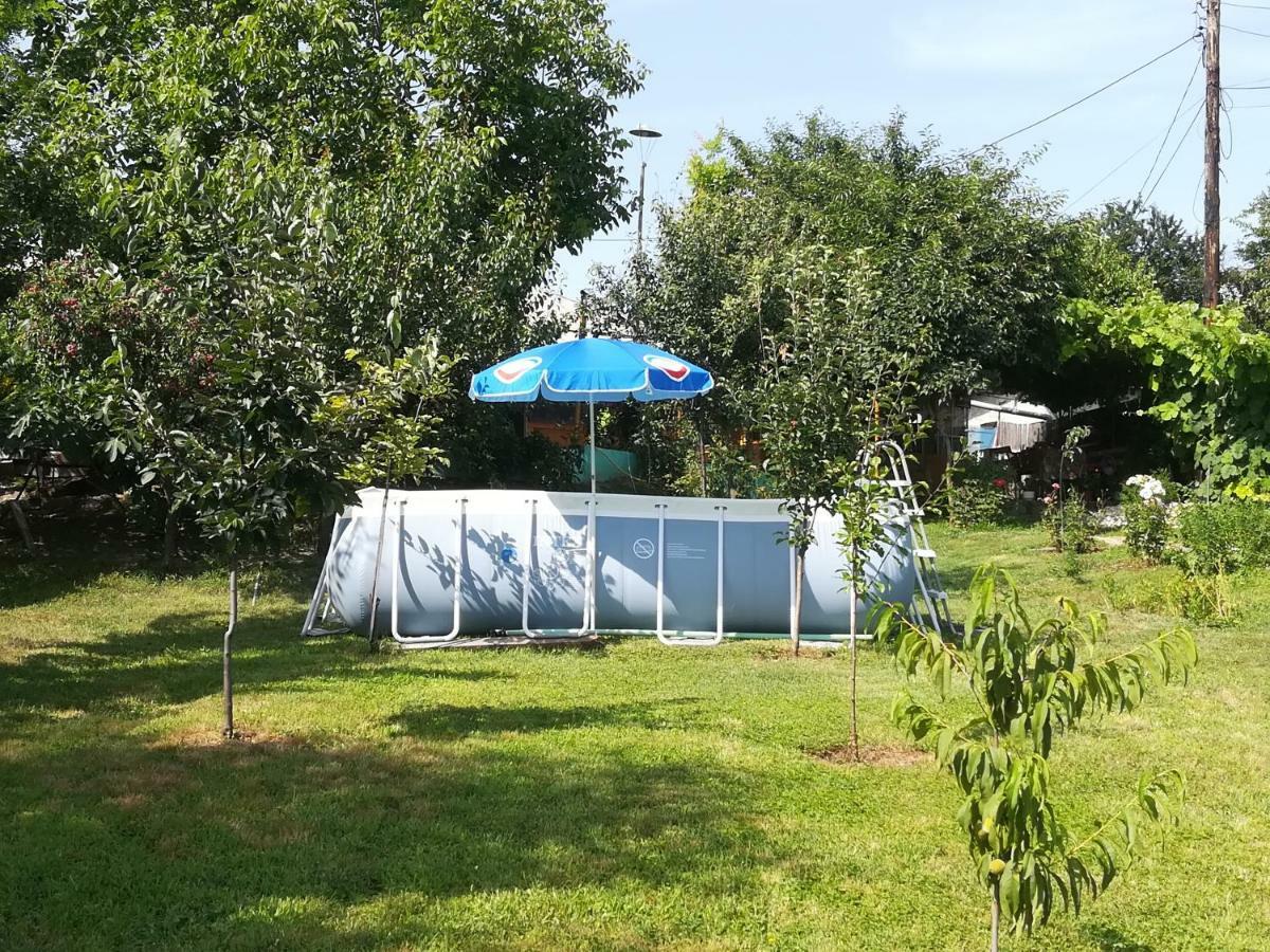 Turnu Măgurele Rustic House 아파트 외부 사진