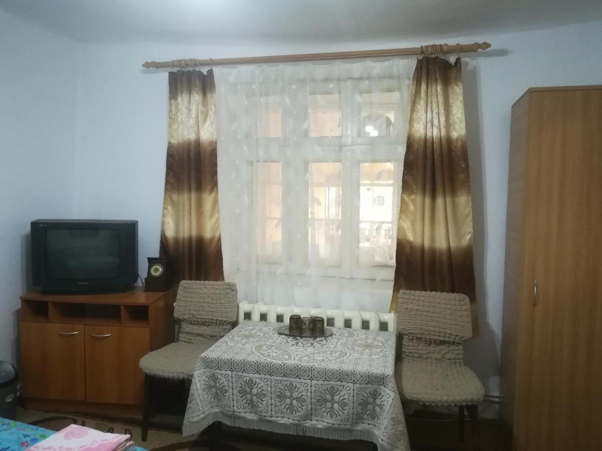 Turnu Măgurele Rustic House 아파트 외부 사진